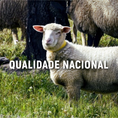Carneiros a pastar em relva verde com texto QUALIDADE NACIONAL sobreposto