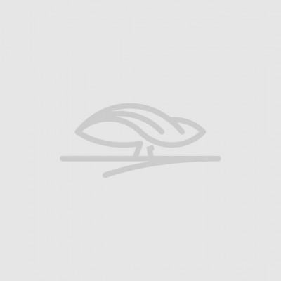 Sacola de papel castanha clara com texto em inglês no fundo cinzento