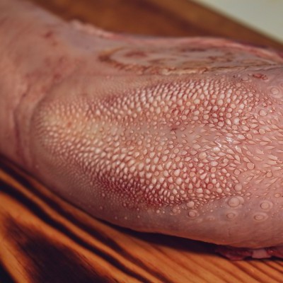 Língua de boi crua sobre superfície de madeira