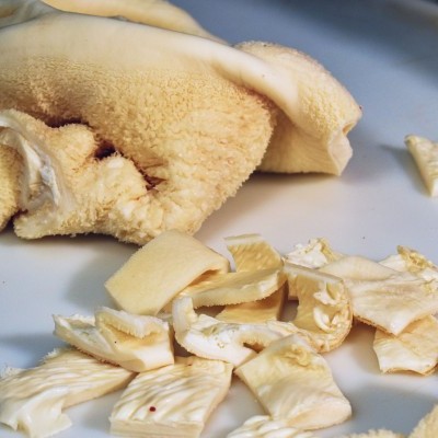 Cogumelos pleurotus cru shiitado fatiados e inteiros em superfície branca
