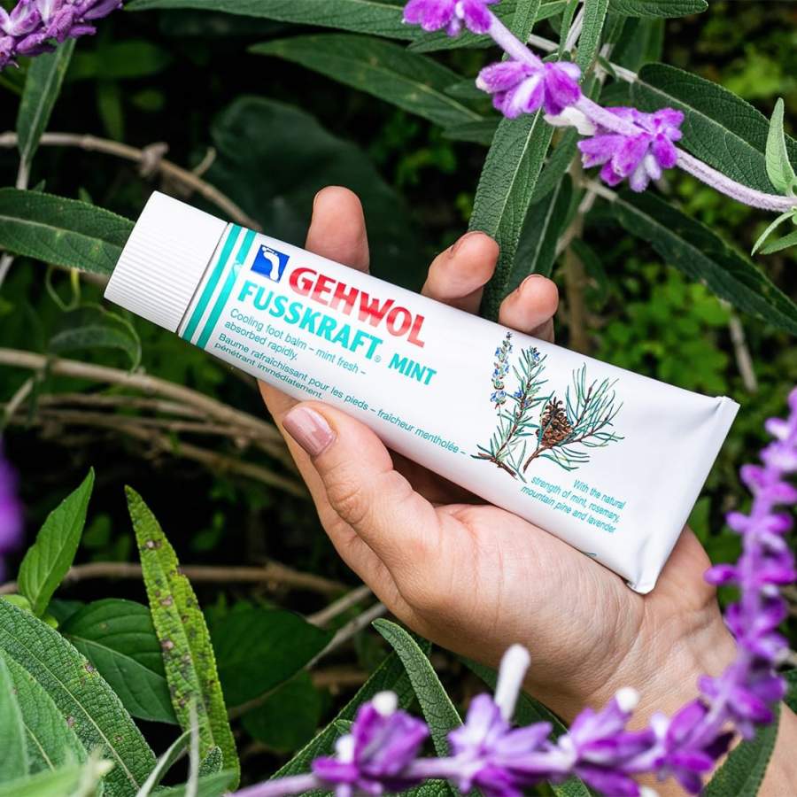 Gehwol Fusskraft - Mint (Refrescante) - 125 ml (Pés Cansados) Tubo de creme GEHWOL FUSSKRAFT MINT segurado por uma mão com plantas e flores ao redor