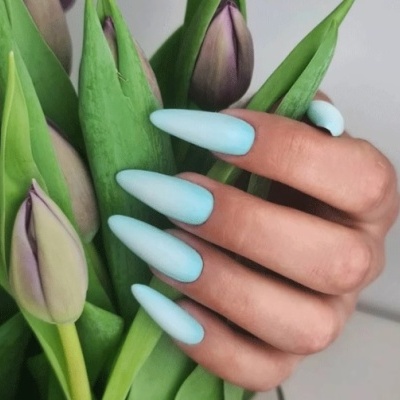 Unhas azuis pastéis mate a segurar botões de tulipas