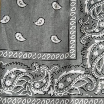 Pano cinzento com padrão paisley branco e preto