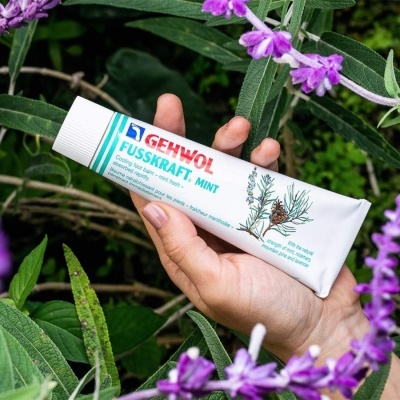 Tubo de creme GEHWOL FUSSKRAFT MINT segurado por uma mão com plantas e flores ao redor