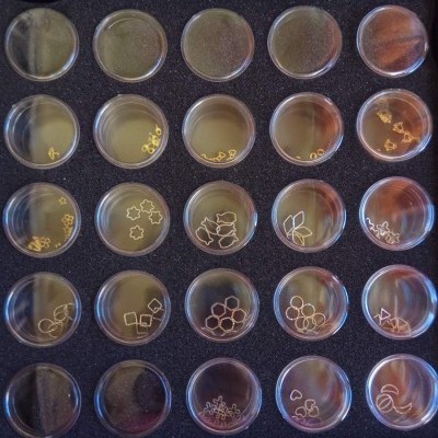 Formas metálicas pequenas douradas em gabaritos plásticos transparentes organizados em embalagem preta