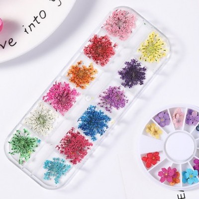 Estojo transparente com flores secas coloridas e roda plástica com flores secas