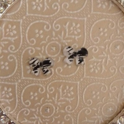 Brincos de laço preto e branco sobre fundo bege com textura floral e moldura com pedras brilhantes