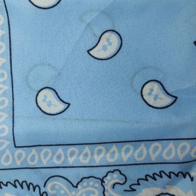 tecido azul com padrão paisley e gotas decorativas em branco