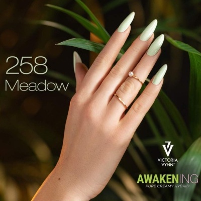 Mão com unhas verdes claras e anéis diante de folhas verdes com texto promocional