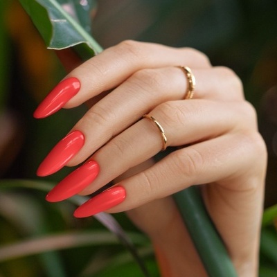 Mão feminina com unhas vermelhas e anéis dourados a segurar caule verde