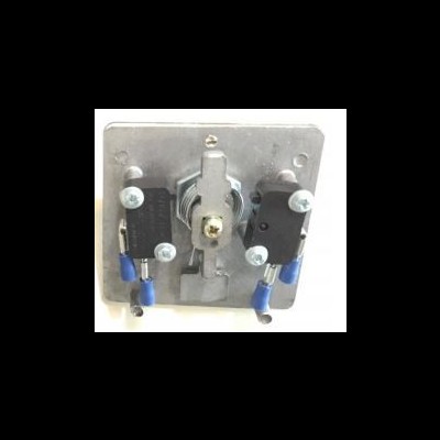 Placa metálica com dois microinterruptores pretos e contactos azuis