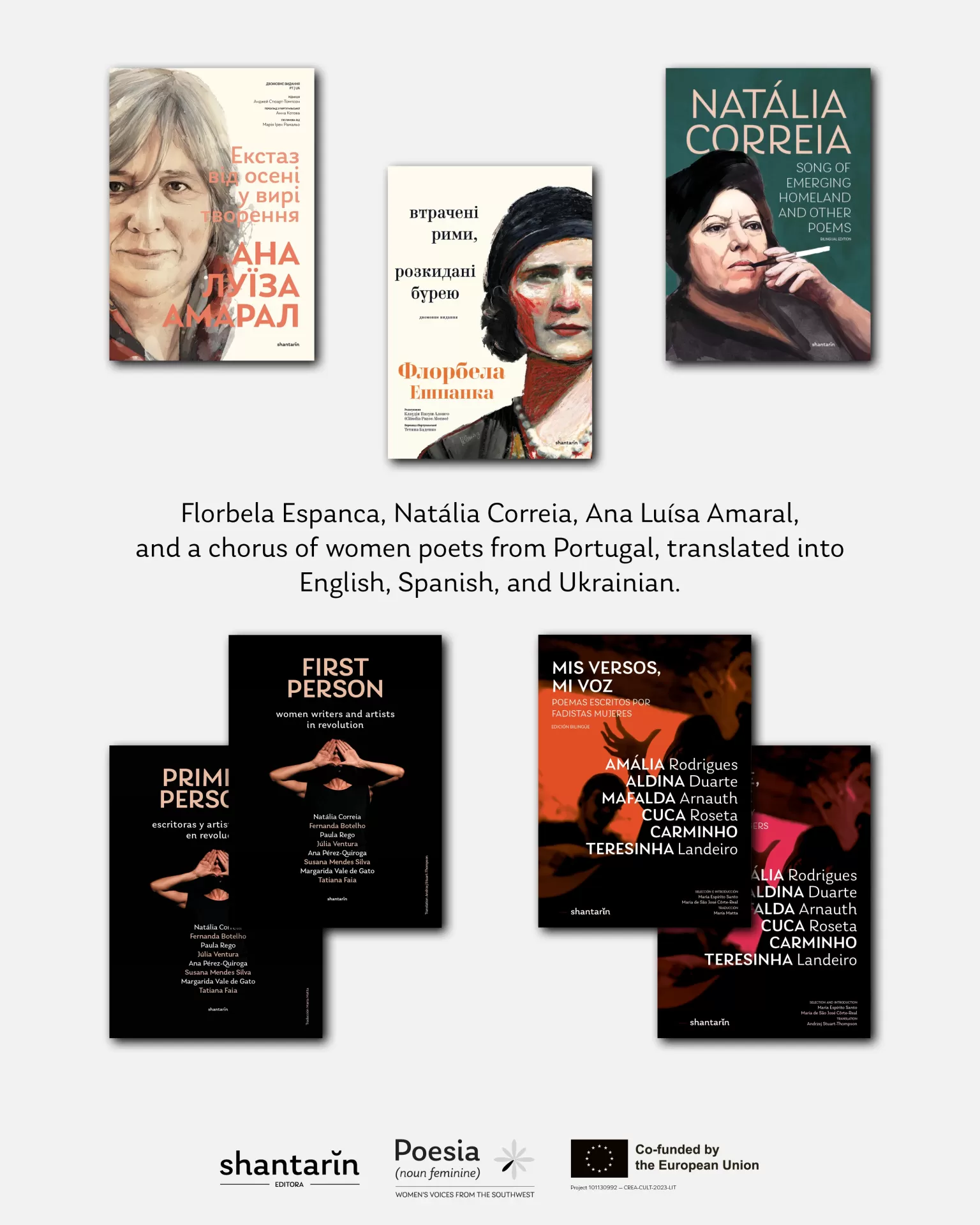 Banner POESIA Noun Feminine