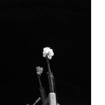 Canos de armas com flores inseridas nas extremidades sobre fundo preto