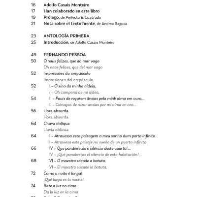 Índice de livro com lista de capítulos e autores em texto preto