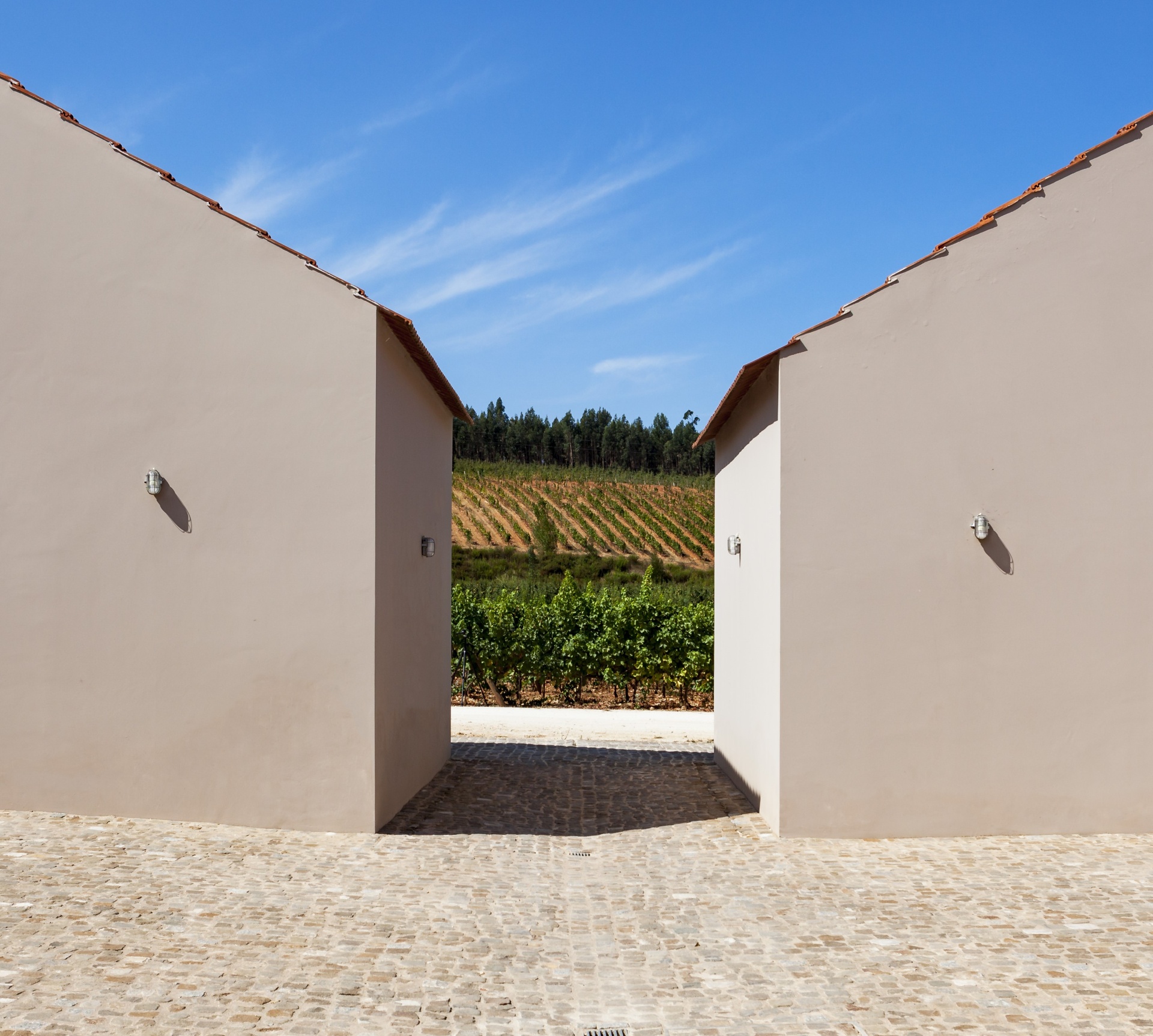 Duas construções cor bege com caminho de pedra e vinhas ao fundo