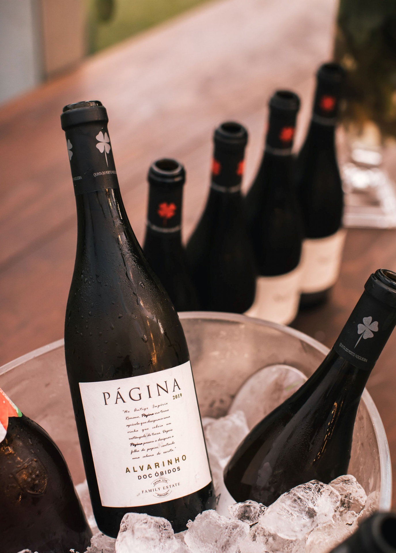 Garrafas de vinho PÁGINA com rótulos brancos e pretos num balde com gelo