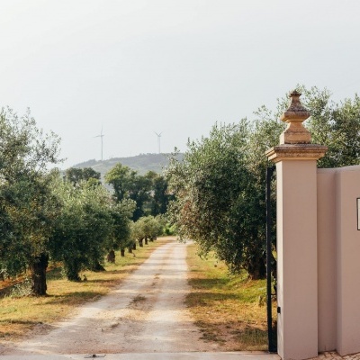 Estrada entre oliveiras com portão preto e parede bege com placa