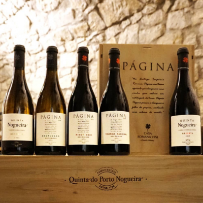 Cinco garrafas de vinho variadas sobre caixa de madeira com inscrições, parede de pedra clara ao fundo