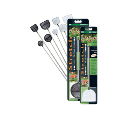 Camaroeiro Dennerle Camaroeiro Dennerle