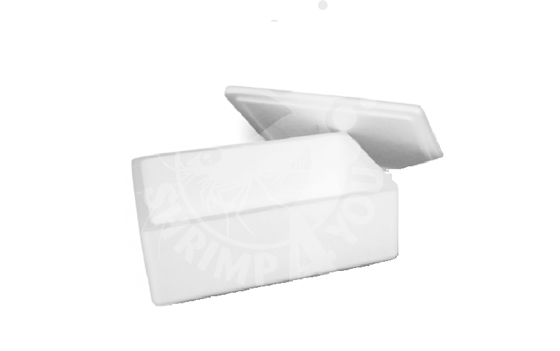 Caixa esferovite com tampa - Tamanho "M" Caixa esferovite com tampa - Tamanho "M"