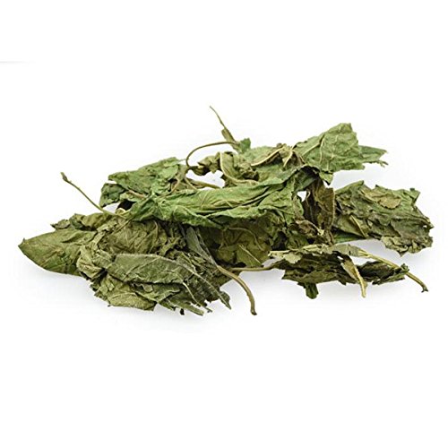 Folhas de Amoreira Folhas de Amoreira