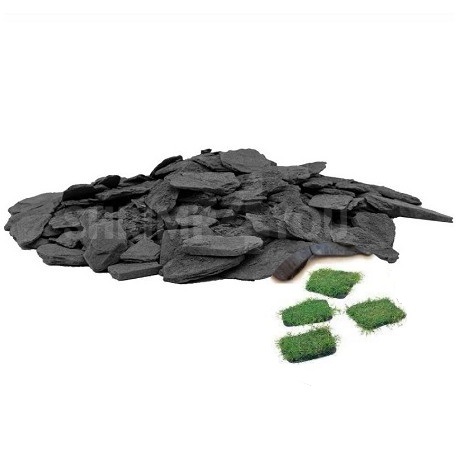 Riccia Stone (Fixação de musgos) Riccia Stone (Fixação de musgos)