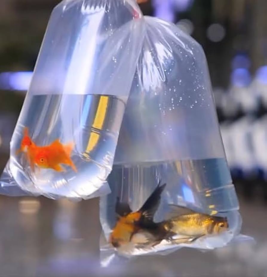 Sacos de Transporte de Peixes "S" - Pack 100 Sacos de Transporte de Peixes "S" - Pack 100