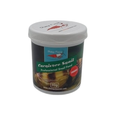 Shrimps Forever Carnivore Snail