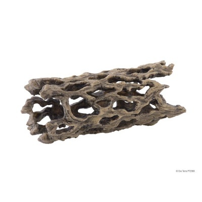 Réplica Cholla Wood "M"