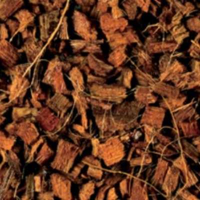 Substratos para terrário