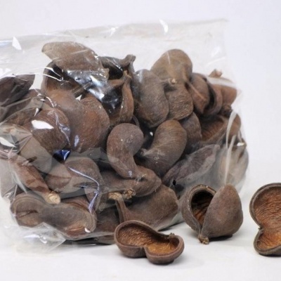 Badam nut 5-8cm