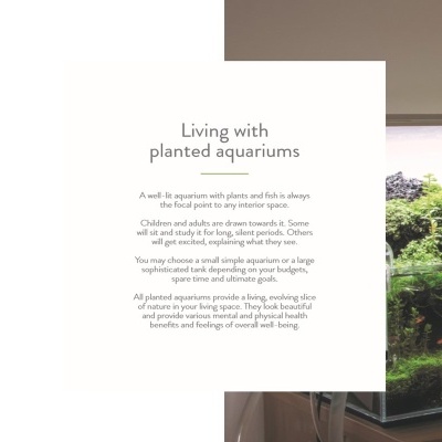 Livro TROPICA - "50 Years Under the Surface"