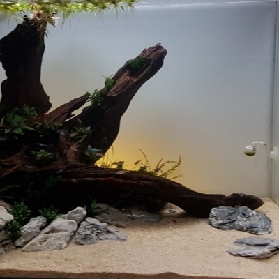 Película adesiva "Frost"