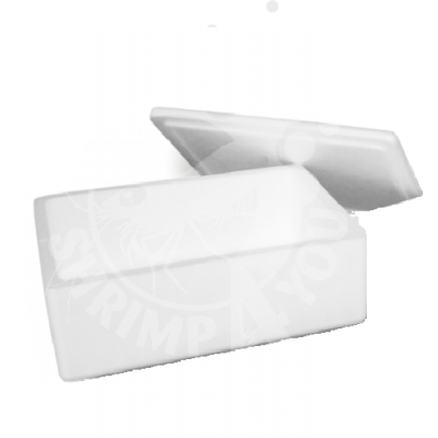 Caixa esferovite com tampa - Tamanho 