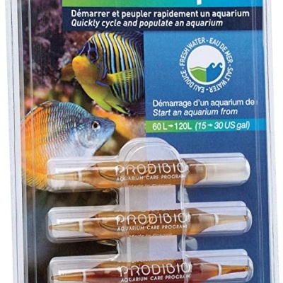 Prodibio Start Up Prodibio Start Up