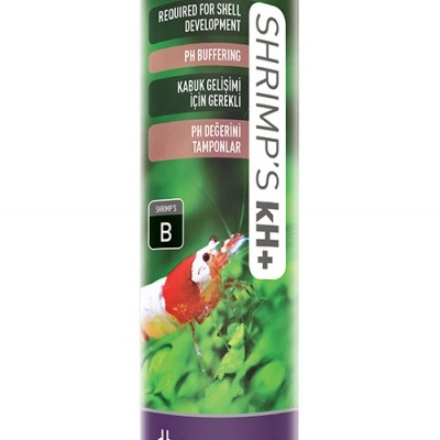 Reeflowers Shrimp's kH+