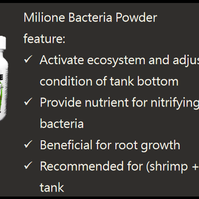 SL-Aqua milione bacteria powder