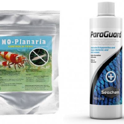 Medicação e Tratamento