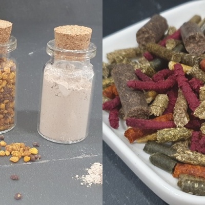 Alimentação & suplementos