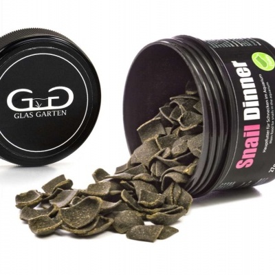 GlasGarten Snail Dinner GlasGarten Snail Dinner