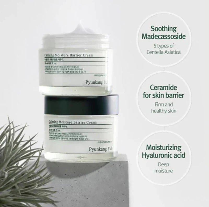 Pyunkang Yul Calming Moisture Barrier Cream 50ml Frascos de creme hidratante Pyunkang Yul sobre superfície cinzenta com planta e texto de ingredientes