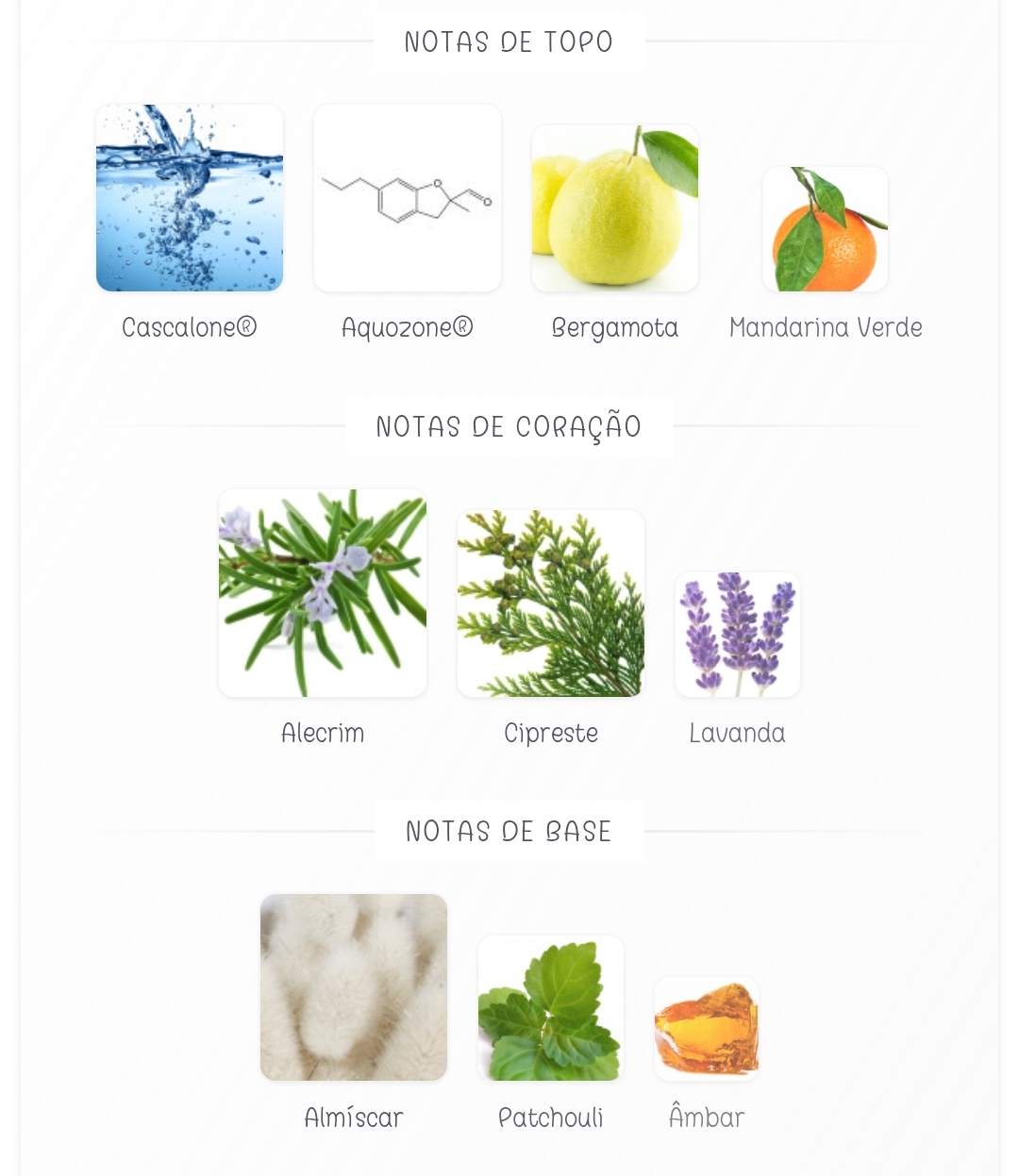 Ocean Rush Eau De Parfum 100ml Notas de topo, coração e base de um perfume com imagens de ingredientes naturais e químicos.
