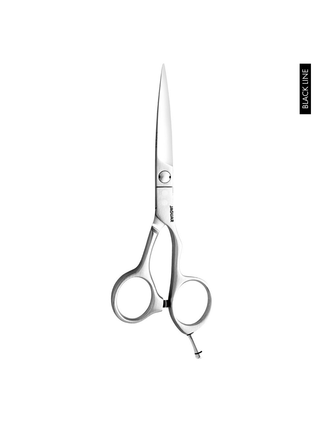 Jaguar Tesoura Vision Black Line Tesoura de metal prateado com texto HYDNT e etiqueta BLACK LINE