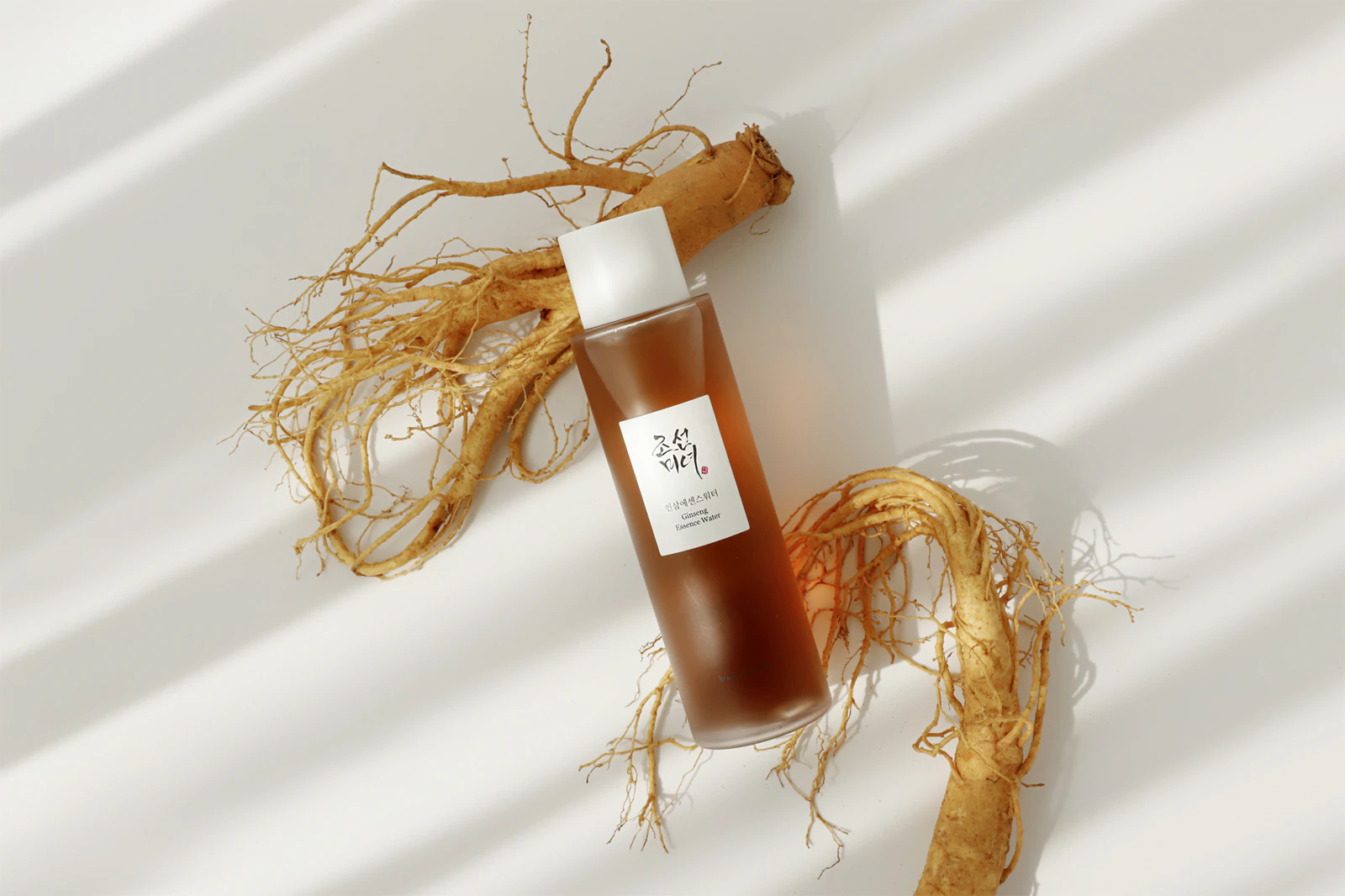 Beauty Of Joseon Ginseng Essence Water 150 Ml Frasco de Ginseng Essence Water e raízes de ginseng sobre fundo branco