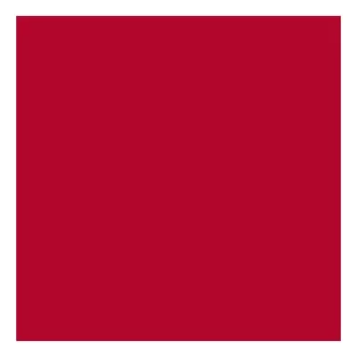 Quadrado vermelho sólido