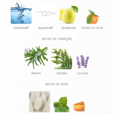 Notas de topo, coração e base de um perfume com imagens de ingredientes naturais e químicos.