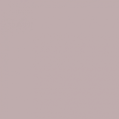 caixa transporte animais plástico branco verde com grelha preta