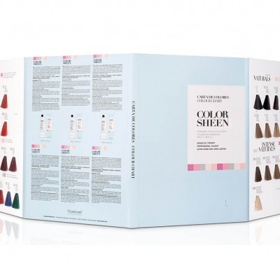 Caixa azul clara de coloração capilar COLOR SHEEN com amostras de cores e textos explicativos