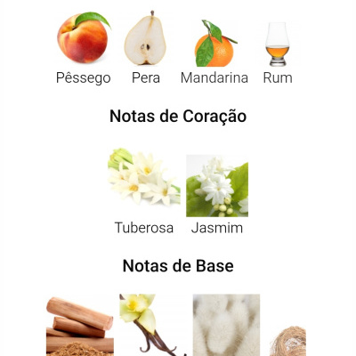 Notas de Topo, Coração e Base com imagens de frutas, flores e madeiras