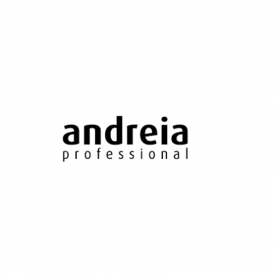 Logotipo com texto 'andreia professional' em preto sobre fundo branco